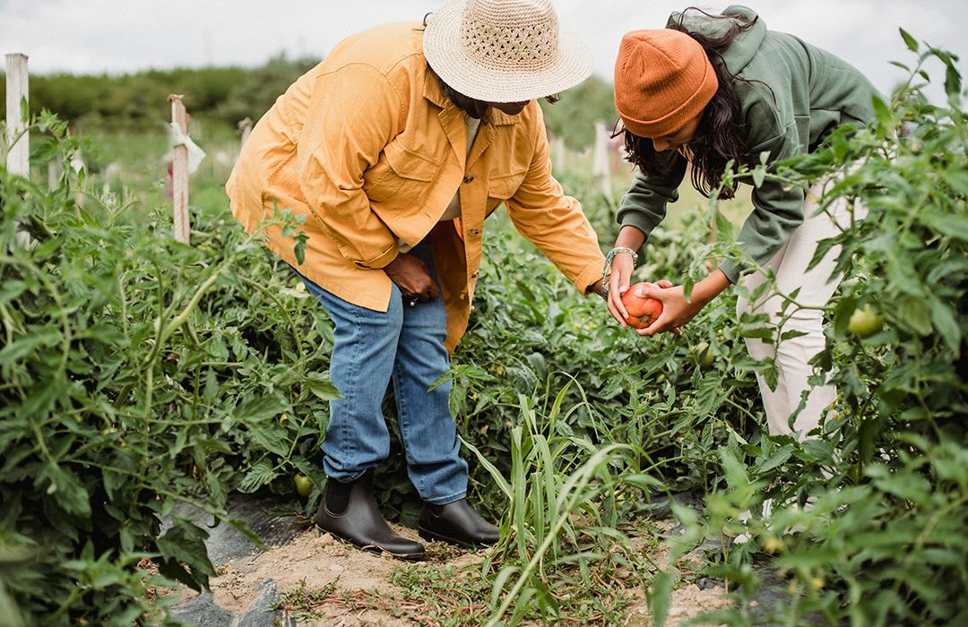 Reshaping local food systems to thrive and adapt