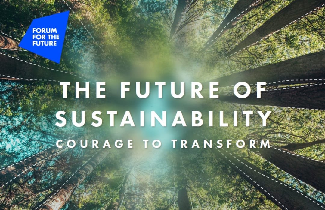 The Future of Sustainability: Courage to Transform