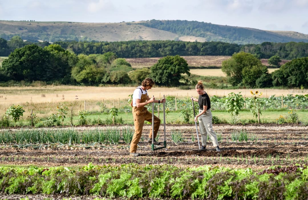 Reimagining a new model for regenerative supply chains in agriculture