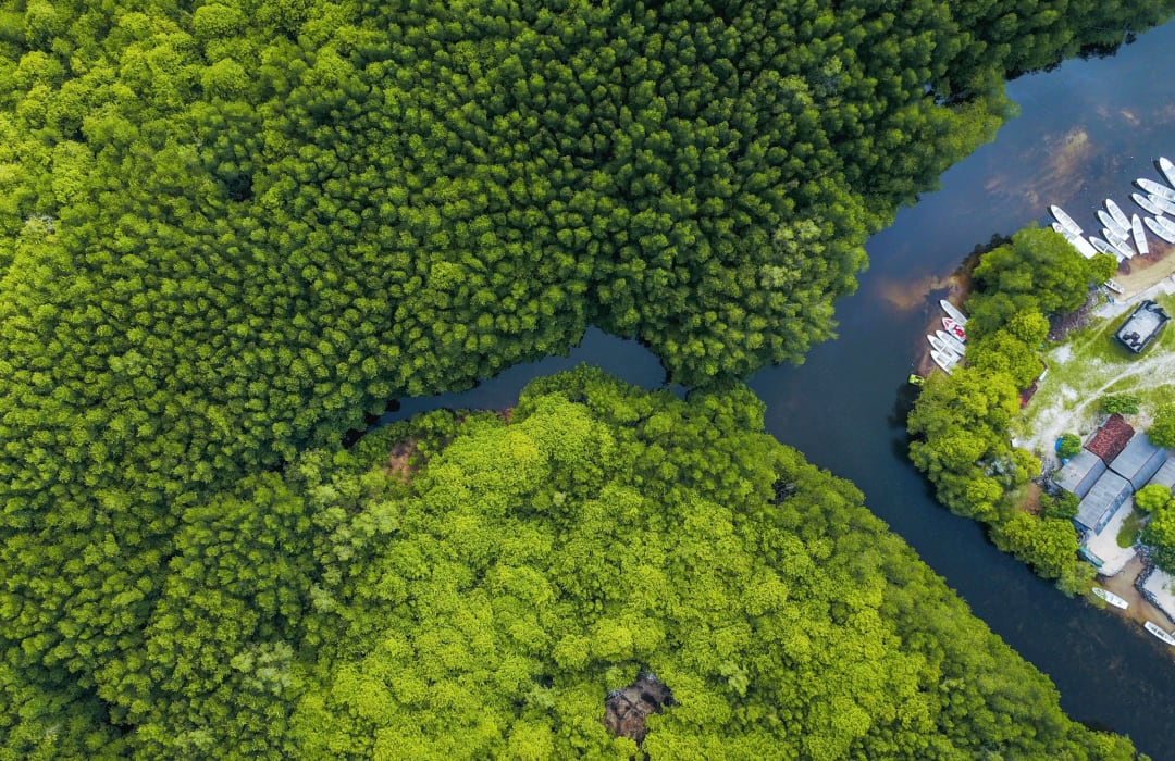 Business perspectives on the climate and health challenge: Hopes and expectations from COP28