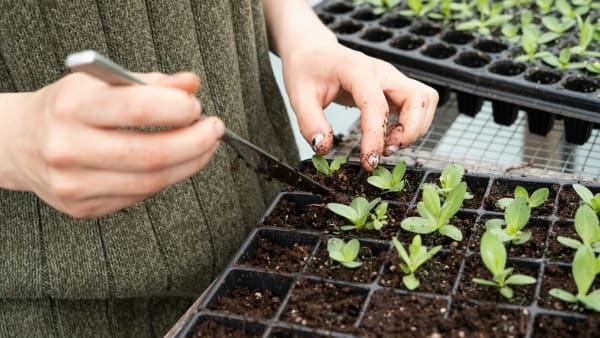 How can we create just and regenerative routes to market for the UK food system?