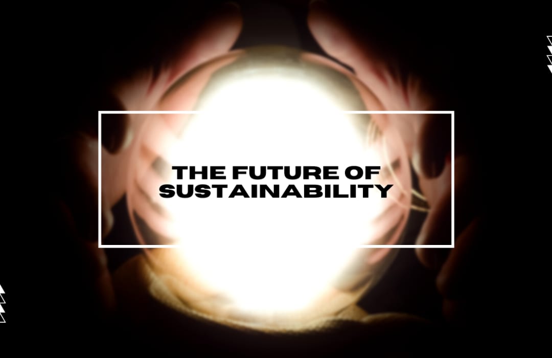 The Future of Sustainability: Looking Back to Go Forward