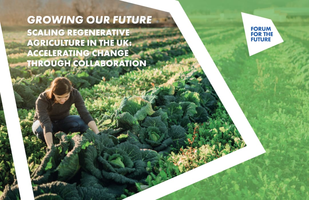 Scaling regenerative agriculture in the UK: Accelerating change through collaboration