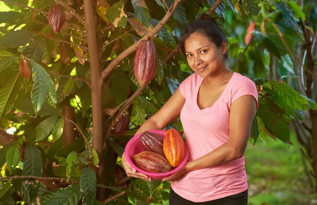 Latin America: The future of value chains smells like chocolate