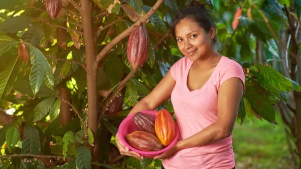 Latin America: The future of value chains smells like chocolate