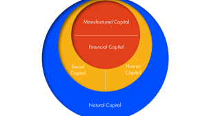 The Five Capitals - a framework for sustainability