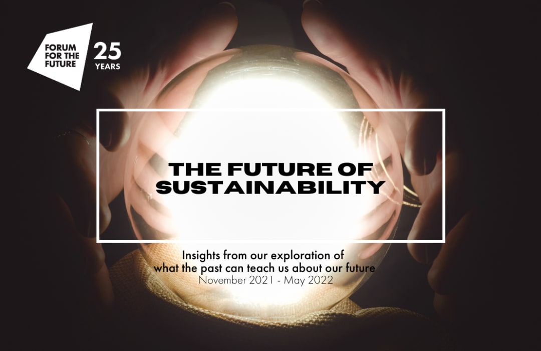 The Future of Sustainability: Looking Back to Go Forward