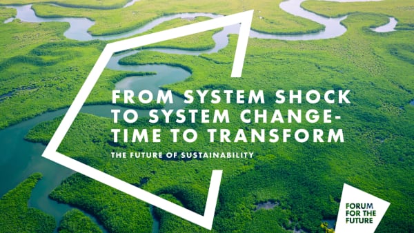 Future of Sustainability report: From system shock to system change - time to transform