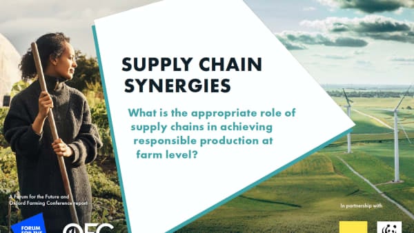 Supply Chain Synergies