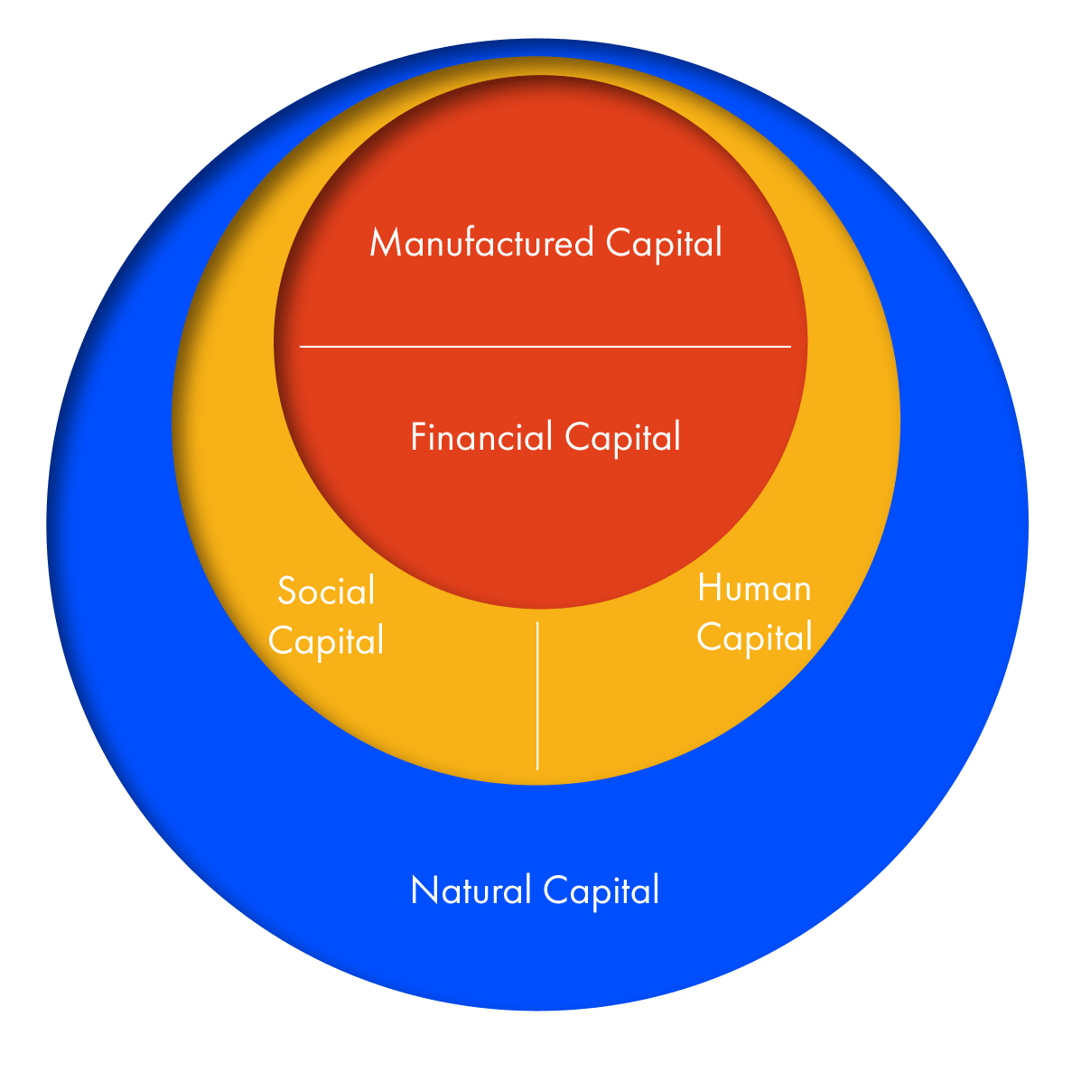 Five capitals model