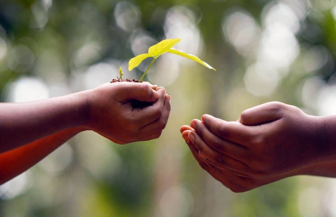 Social outcomes as a pillar for building a just and regenerative agriculture system