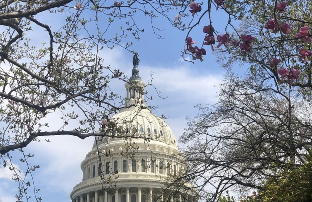 Shifting policy to enable a just transition to regenerative agriculture in the US