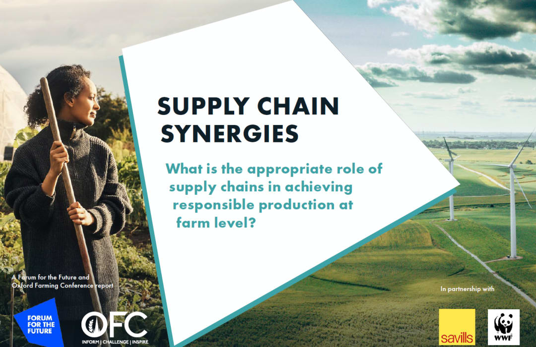 Supply Chain Synergies